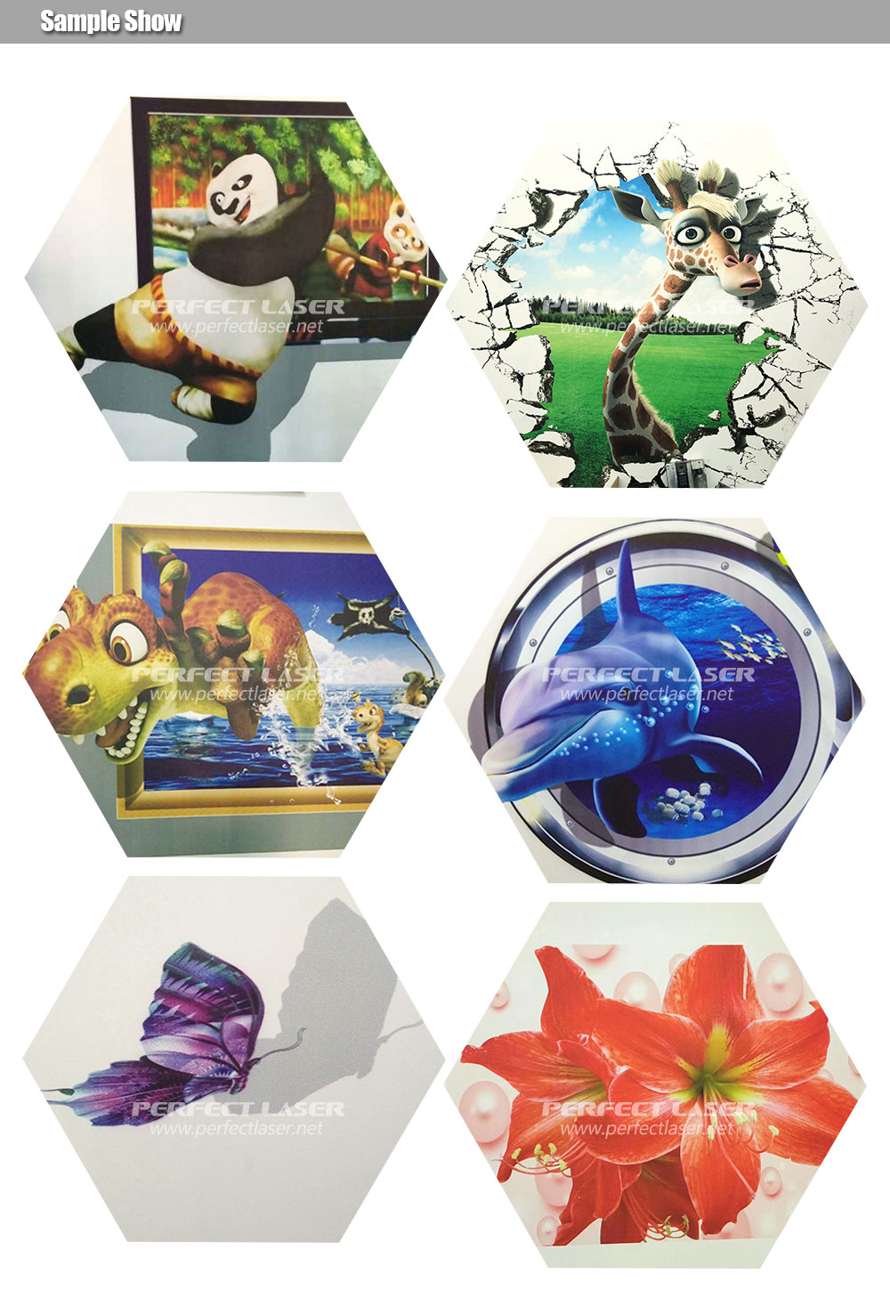 Perfect Laser Advertising Indu - Industrial Laser Printing Machine 评论和价格